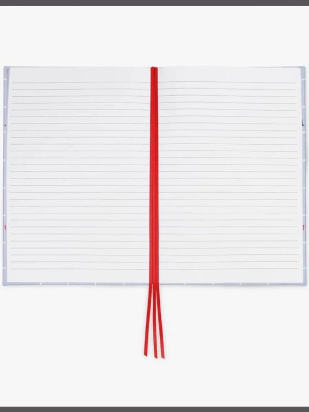 kate spade new york, Park Picnic, Take Note XL Notebook